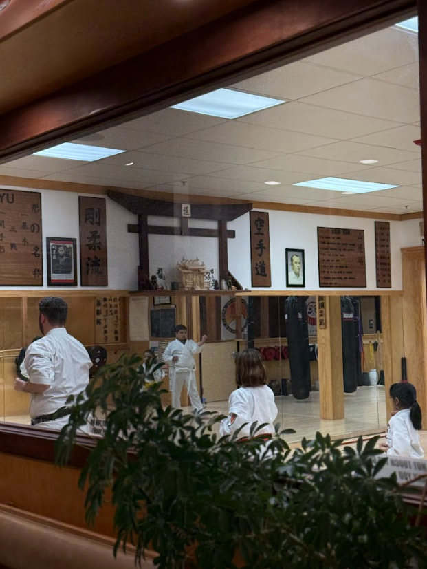 Contact — Mountain Martial Arts - Traditional Okinawa Karate